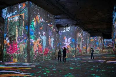 Пляж Carrières des Lumières: Входной билет - photo 4