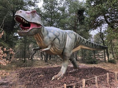 Зоопарк Гивскуд - зоопарк: Входной билет - photo 4