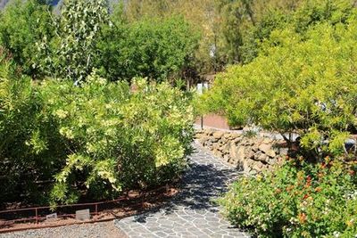 Пирамиды Гуимара: Премиальный билет - photo 4