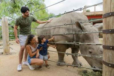 Гибкий входной билет в зоопарк Сан-Антонио на любой день - photo 4