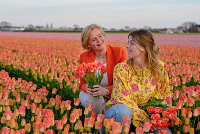 The Tulip Barn: Входной билет - photo 4