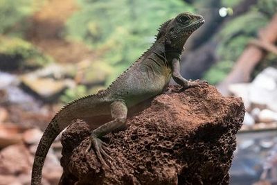 Emaar Aquarium и Emaar Skyview: комбинированный входной билет - photo 4