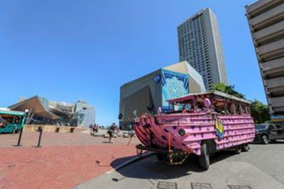 Аквариум Новой Англии: Входной билет - photo 4