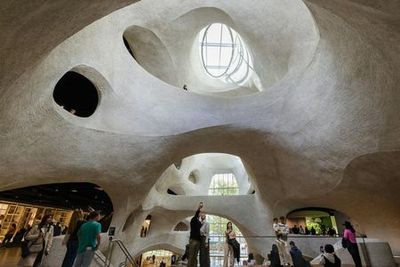 Американский музей естественной истории (AMNH): все выставки по билетам - photo 3