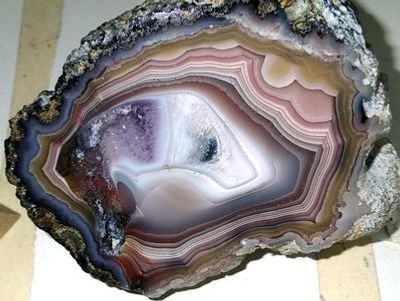 Денверский музей природы и науки: Билет и аудиотур в приложении - photo 3