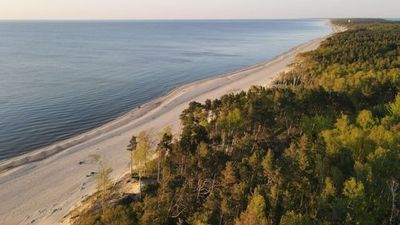 Куршская коса: автомобильная театрализованная аудиоэкскурсия (без билета) - photo 4