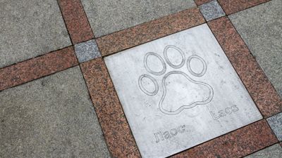 Городские легенды Владивостока