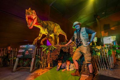 Bobbejaanland: Входной билет - photo 2