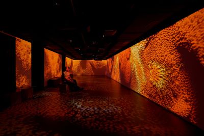 Legends - The Home of Football: входной билет - photo 2