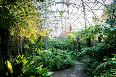 Rippon Lea Estate: входной билет - photo 2