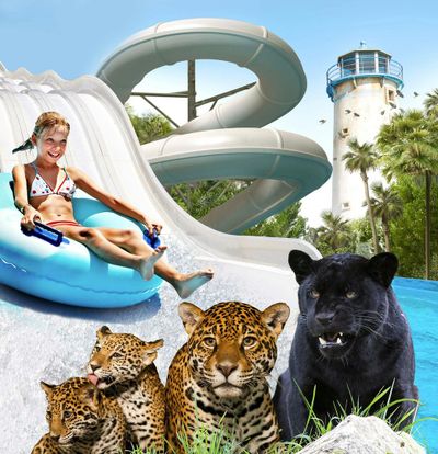 Terra Natura & Aqua Natura Бенидорм: Комбинированный входной билет - photo 2