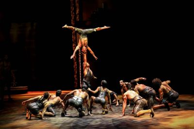 La Perle от Dragone: Билет на шоу