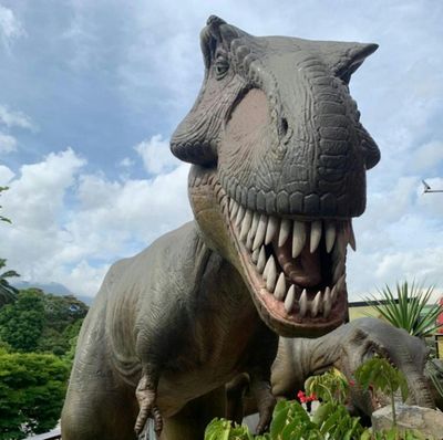 Парк Эксплора: Входной билет