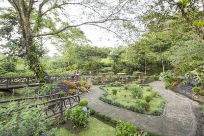 Парк подвесных мостов Mistico Arenal: Входной билет - photo 2