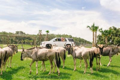 Вход в парк сафари Wild Florida Drive-Thru