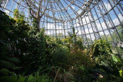 Центр бабочек Cockrell в Хьюстонском музее естественных наук: входной билет - photo 2