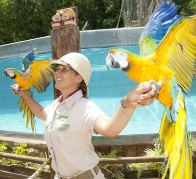 Зоопарк Jungle Park: Входной билет - photo 2