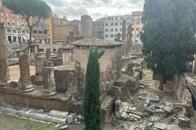 Археологическая зона Ларго-Арджентина: Билет с входом без очереди - photo 2