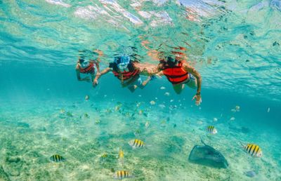 Xcaret Park: Fast Track Ticket