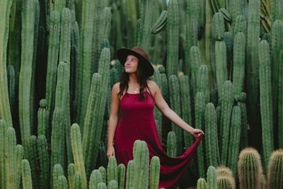 Стратмертон: входной билет в страну кактусов