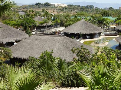 Крокодиловый парк Торремолинос: Входной билет - photo 2