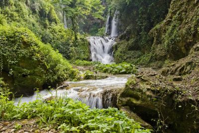 Вилла Грегориана: Входной билет