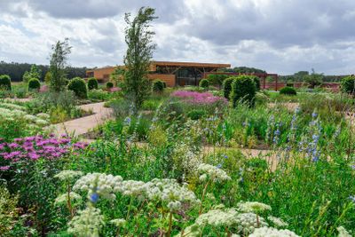 RHS Garden Bridgewater: входной билет - photo 2