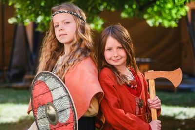 Шведский исторический музей: Входной билет