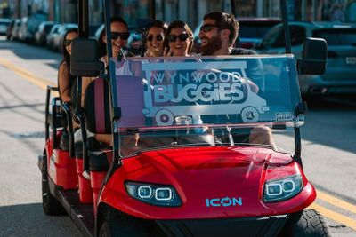 Винвудские стены: общий билет + прогулка на багги по району