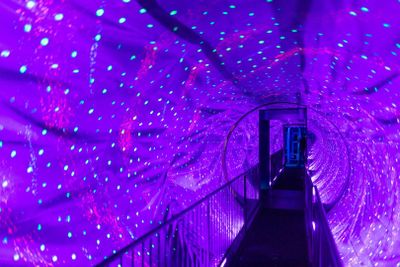 Верь Рипли или нет! Амстердам: Входной билет - photo 2