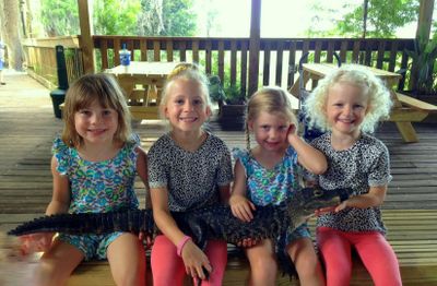 Посещение парка Wild Florida Gator - photo 2