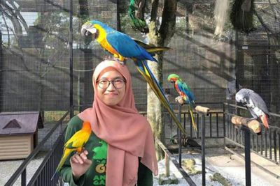 G2G Животный сад: Входной билет