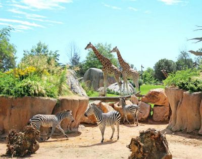 Увеличить Турин: Входной билет