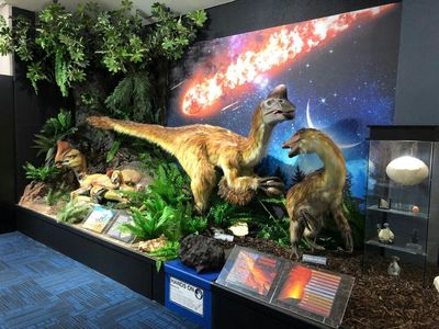 Национальный музей динозавров: Билет с входом без очереди - photo 2