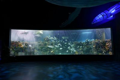 Аквариум Инбурса в Мехико: входной билет - photo 2