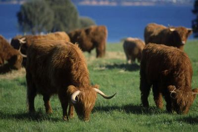 Остров Филиппа: входной билет на остров Черчилля