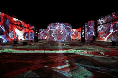 Phoenix des Lumières: Входной билет - photo 2