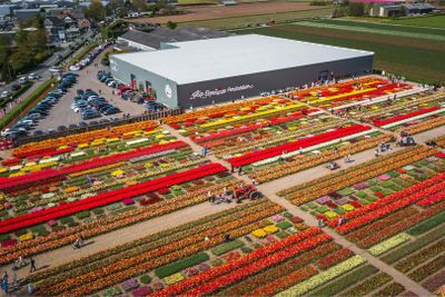 Тюльпановый опыт Амстердама: Входной билет - photo 2