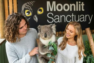 Парк дикой природы Moonlit Sanctuary: Входной билет - photo 2