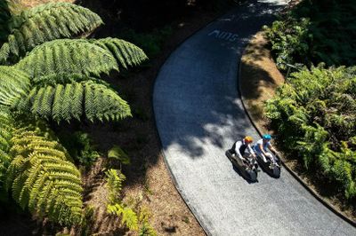 Скайлайн-сани в Куала-Лумпуре: входной билет - photo 2