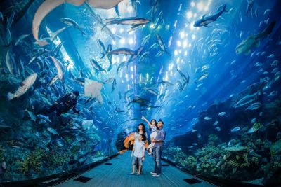 Dubai Aquarium и Бурдж-Халифа (билет на этажи 124–125) - photo 2