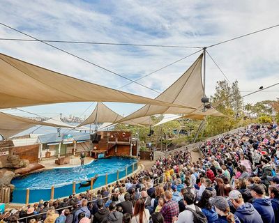 Зоопарк Таронга в Сиднее: Входной билет + Возвращение на пароме - photo 2