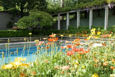 Вилла Некки-Кампильо: Входной билет - photo 2