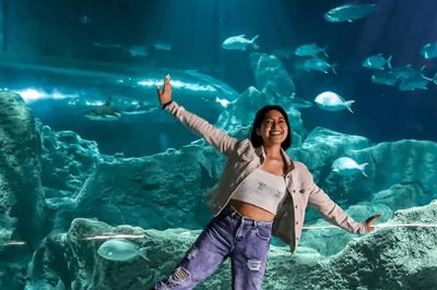 Океанариум Мичин в Гвадалахаре: Входной билет