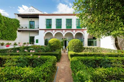 Дворец Букарелли: Входной билет