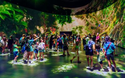 Американский музей естественной истории (AMNH): все выставки по билетам