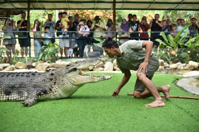 Крокодил Лангкави: Входной билет - photo 2