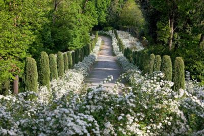 Замок Мазино: Входной билет - photo 2