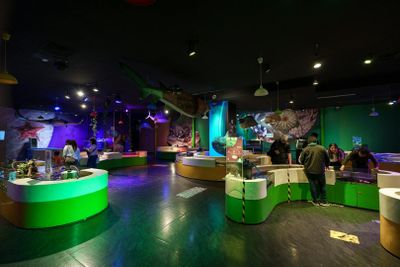 Аквариум Инбурса в Мехико: входной билет