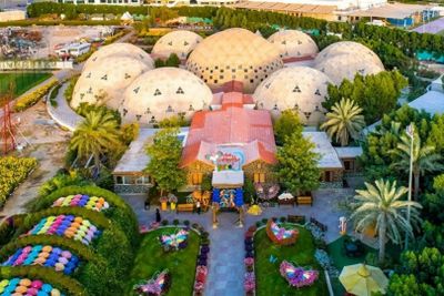 Dubai Butterfly Garden: входной билет - photo 2